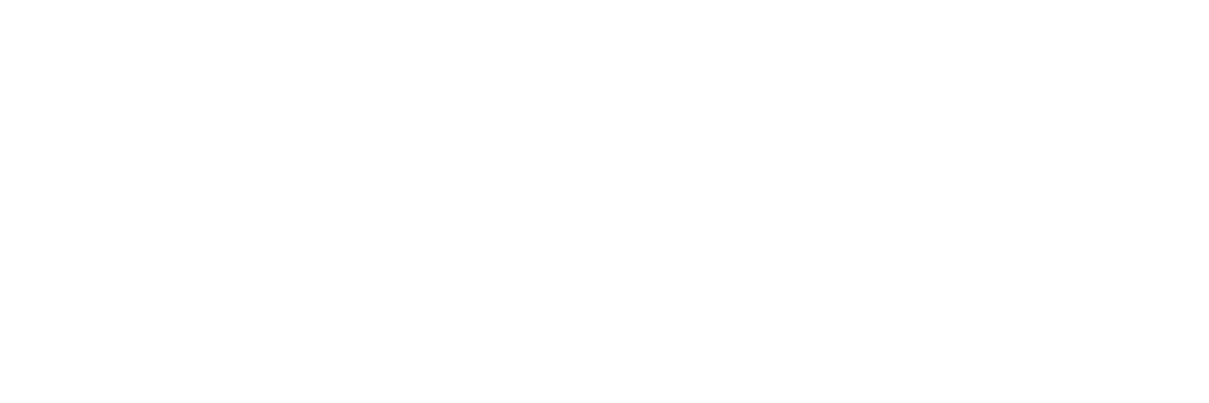 BIOTAYO|Innovative Chinese Herbal Blends